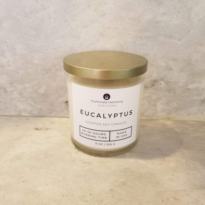 Eucalyptus Scented Candle 9 oz(Sold Out) - Image 2