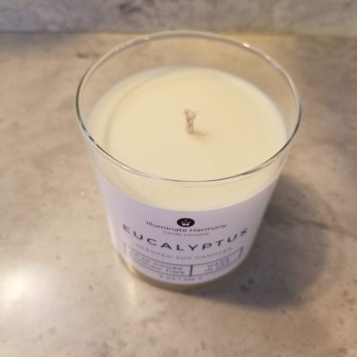 Eucalyptus Scented Candle 9 oz(Sold Out) - Image 4