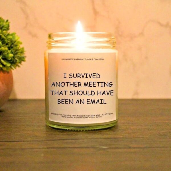 I Survived Another Meeting That Should Have Been An Email Candle | Funny Joke Gift | Coworker Gift | Humorous Gift | Gift Idea For Coworkers