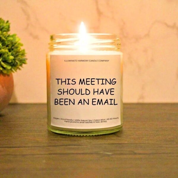 This Meeting Should Have Been An Email Candle | Funny Gift | Joke Candle | Funny Candle | Funny Scented Candles | Funny Candle For Friends