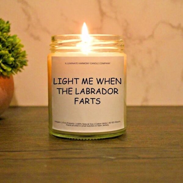 Light Me When The Labrador Farts Candle | Funny Gift For Labrador Dog Lovers | Dog Lover Birthday Gift | Gift For Labrador Dog Owners
