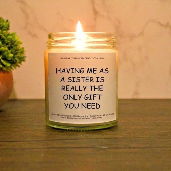 Having Me As A Sister Is Really The Only Gift That You Need Candle | Funny Gift | Cute Candle | Funny Candle | Christmas Gift |Best Sis Gift