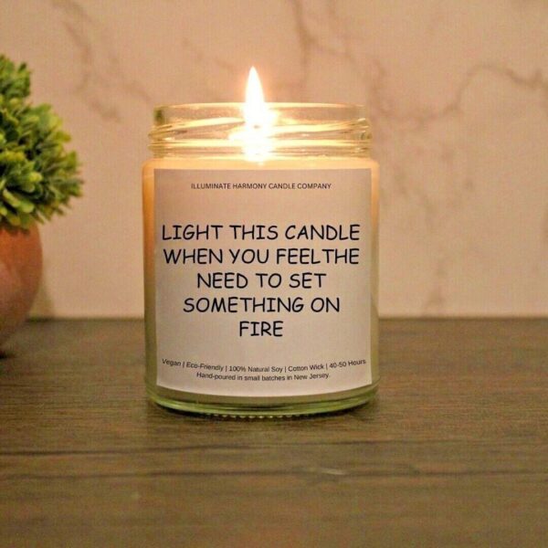 Light This Candle When You Feel The Need To Set Something On Fire | Funny Gift