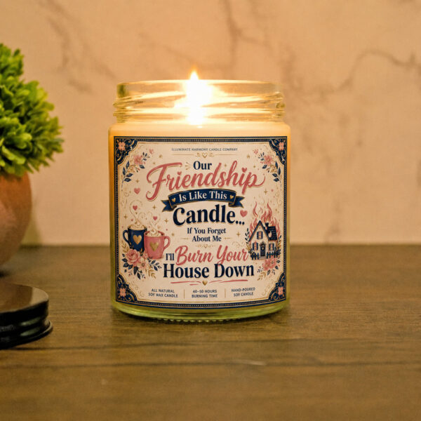 Our Friendship Is Like This Candle... If You Forget About Me I'll Burn Your