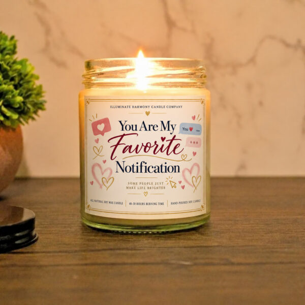 You Are My Favorite Notification Candle | Funny Birthday Candle Gift | Candle
