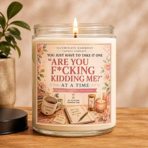 You Just Have To Take It One "Are You F*cking Kidding Me" At A Time Candle |