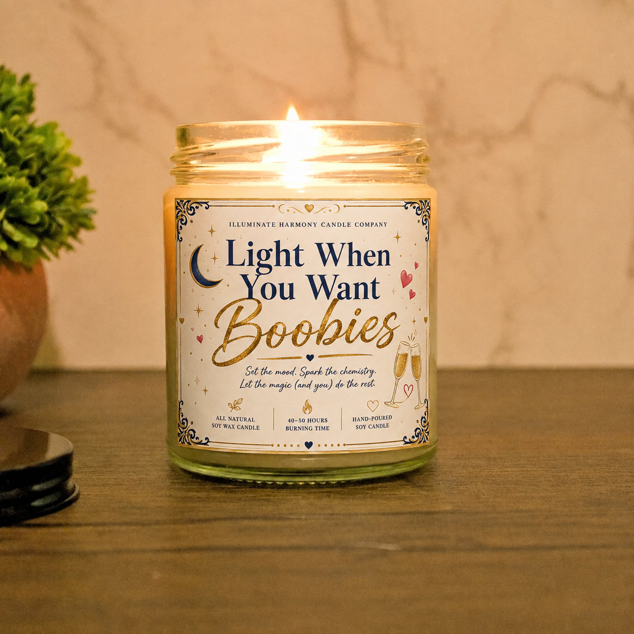 Light When You Want Boob*es | Gift For Him | Boyfriend Gift | Gift For Men | Gift For